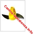 Coltello frullatore